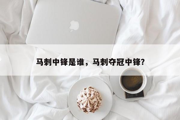 马刺中锋是谁，马刺夺冠中锋？