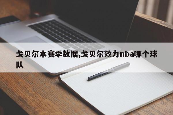 戈贝尔本赛季数据,戈贝尔效力nba哪个球队