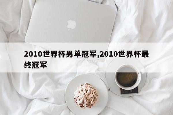 2010世界杯男单冠军,2010世界杯最终冠军