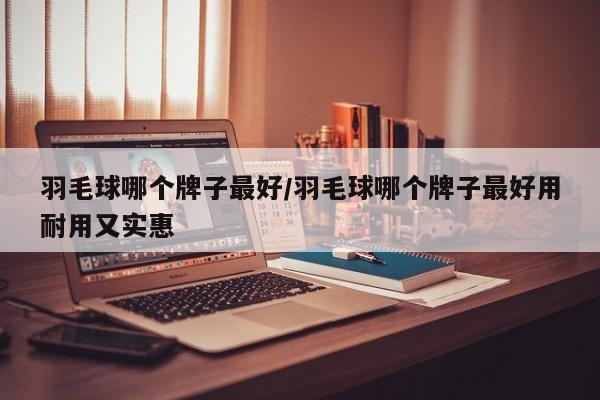 羽毛球哪个牌子最好/羽毛球哪个牌子最好用耐用又实惠