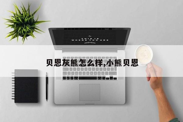 贝恩灰熊怎么样,小熊贝恩