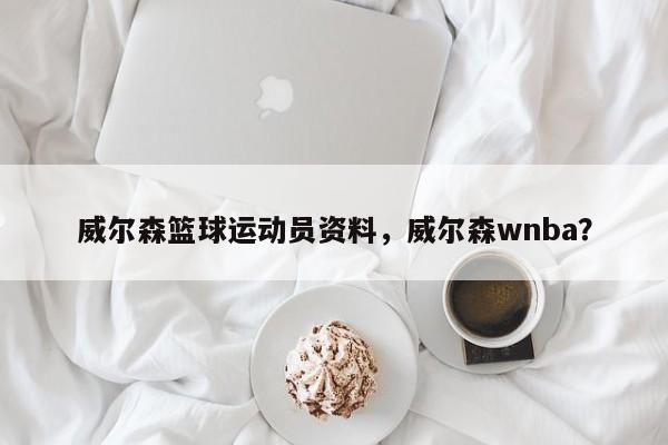 威尔森篮球运动员资料，威尔森wnba？