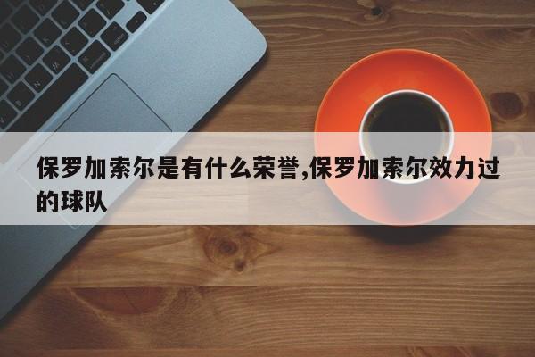 保罗加索尔是有什么荣誉,保罗加索尔效力过的球队