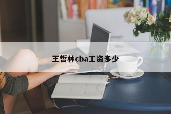 王哲林cba工资多少