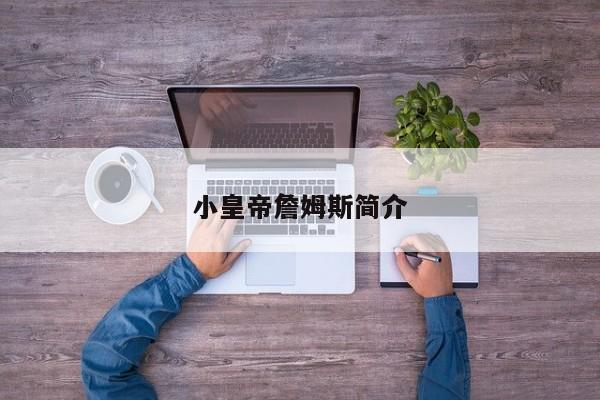 小皇帝詹姆斯简介